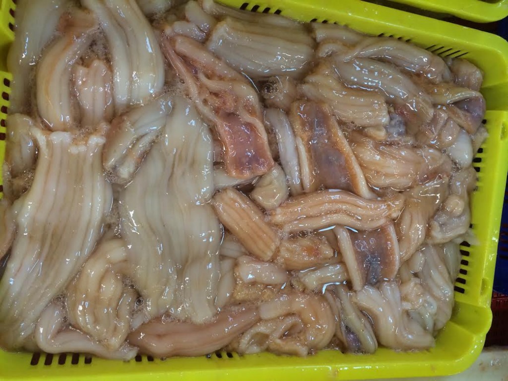 海参 Sea Cucumber JF Seafoods Company 杰夫海产（加拿大）