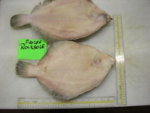 Frozen Sole Pictures (1)