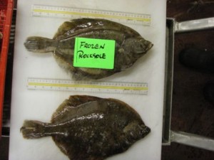 Rock Sole Frozen (2)