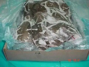 Norwey Gr Halibut HGT