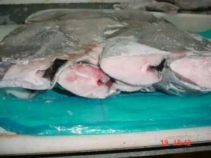 Norwey Gr Halibut HGT2