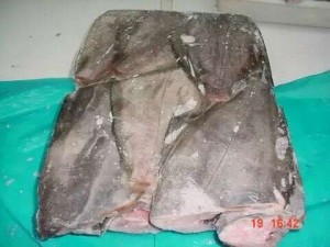 Norwey Gr Halibut HGT3