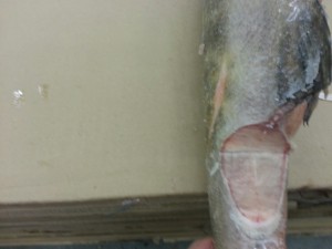 20151022_114916_resized