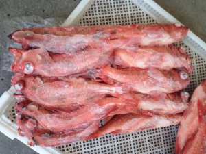 Pacific Ocean Perch 太平洋红鱼